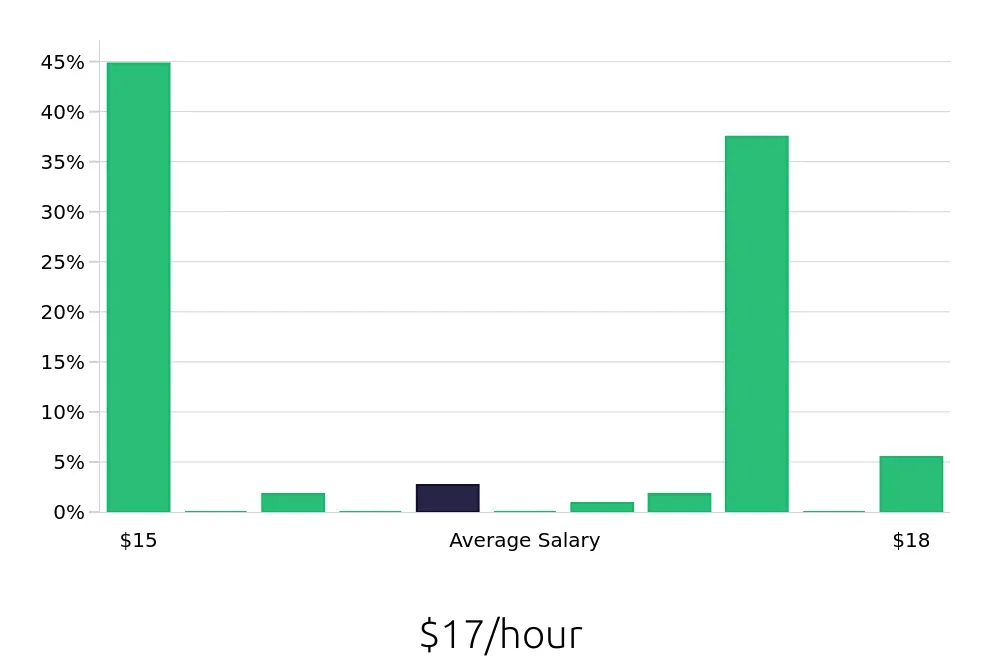 Graph depicting the hourly salary distribution for Direct Support Professional jobs in Brockton, MA, showing an average salary of $17 with varying distribution percentages across salary ranges.