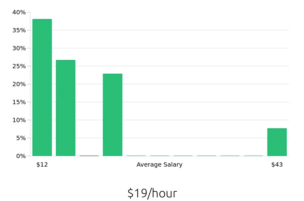 Graph depicting the hourly salary distribution for Housekeeping jobs in New Smyrna Beach, FL, showing an average salary of $19 with varying distribution percentages across salary ranges.