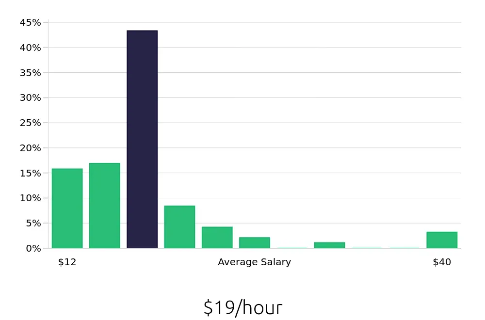Graph depicting the hourly salary distribution for Packer jobs in Baltimore, MD, showing an average salary of $19 with varying distribution percentages across salary ranges.