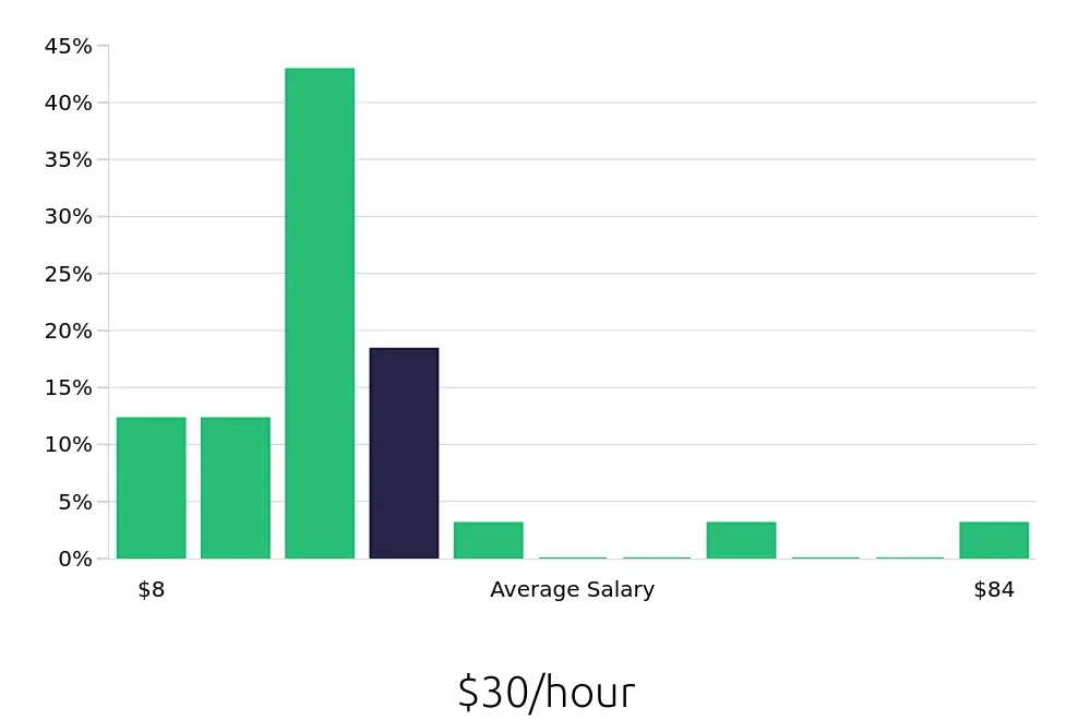 Graph depicting the hourly salary distribution for Sales Professional jobs in Sparks, NV, showing an average salary of $30 with varying distribution percentages across salary ranges.