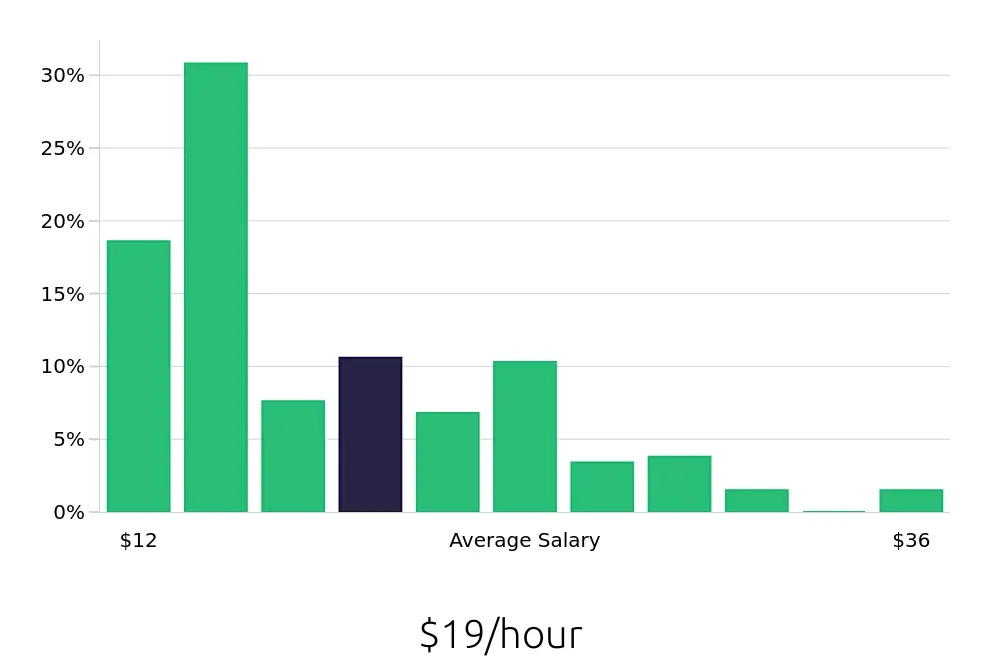 Graph depicting the hourly salary distribution for Server jobs in Ashburn, VA, showing an average salary of $19 with varying distribution percentages across salary ranges.