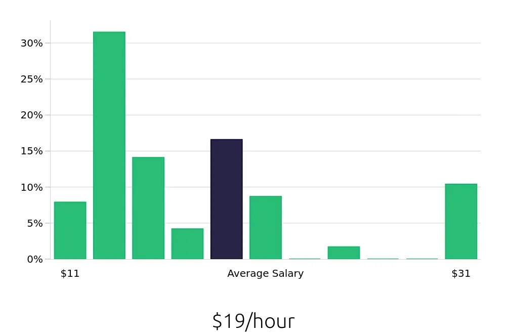 Graph depicting the hourly salary distribution for Server jobs in Kansas City, KS, showing an average salary of $19 with varying distribution percentages across salary ranges.