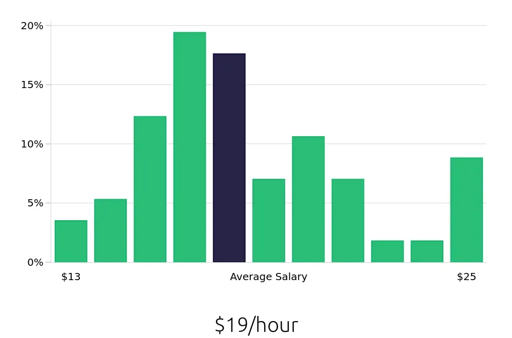 Graph depicting the hourly salary distribution for Server jobs in New Brunswick, NJ, showing an average salary of $19 with varying distribution percentages across salary ranges.
