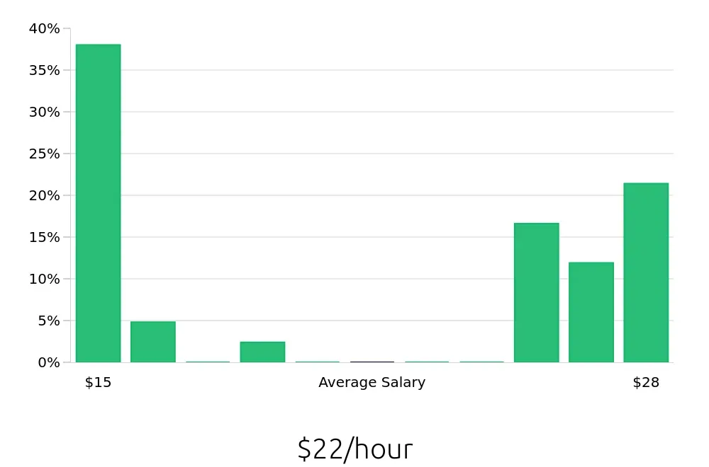 Graph depicting the hourly salary distribution for Social Worker jobs in Elmira, NY, showing an average salary of $22 with varying distribution percentages across salary ranges.