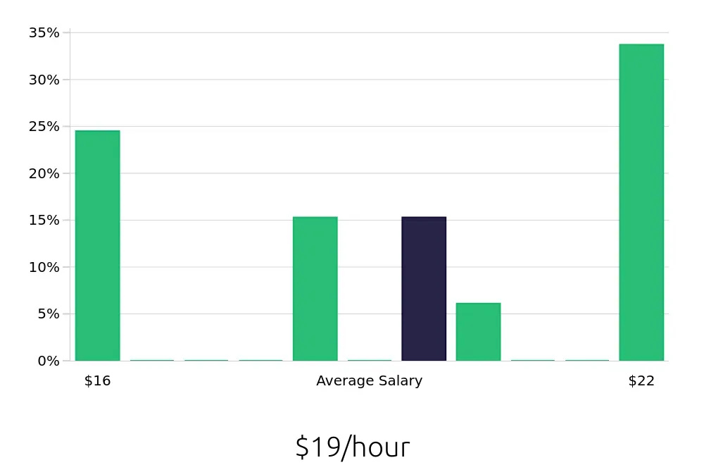 Graph depicting the hourly salary distribution for Stocker jobs in Daly City, CA, showing an average salary of $19 with varying distribution percentages across salary ranges.
