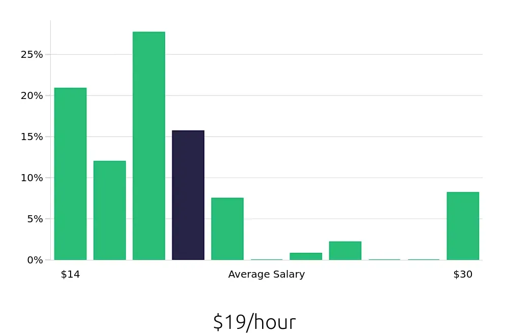 Graph depicting the hourly salary distribution for Store Manager jobs in Dublin, OH, showing an average salary of $19 with varying distribution percentages across salary ranges.