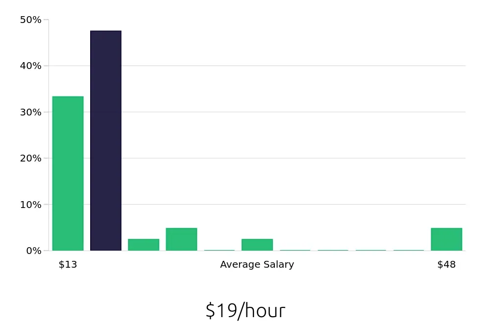 Graph depicting the hourly salary distribution for Store Manager jobs in High Point, NC, showing an average salary of $19 with varying distribution percentages across salary ranges.