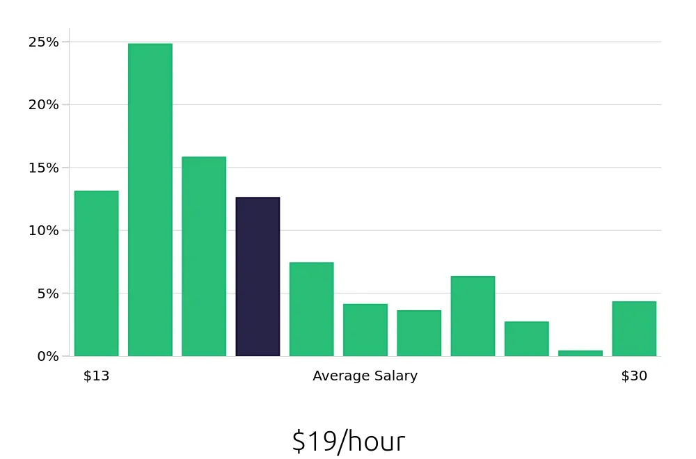 Graph depicting the hourly salary distribution for Store Manager jobs in Raleigh, NC, showing an average salary of $19 with varying distribution percentages across salary ranges.