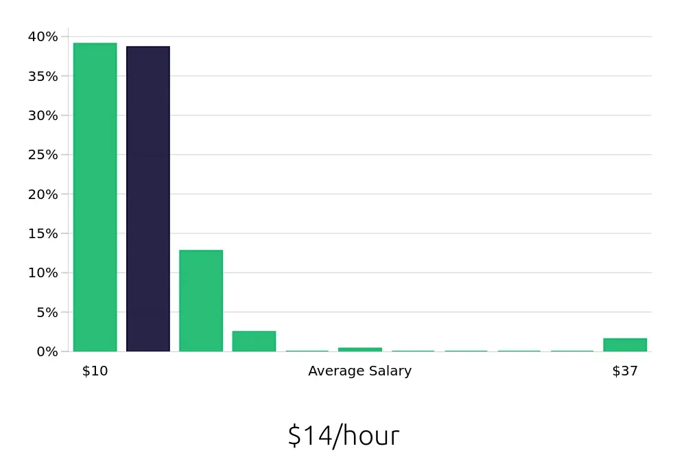 Graph depicting the hourly salary distribution for Team Member jobs in New Braunfels, TX, showing an average salary of $14 with varying distribution percentages across salary ranges.
