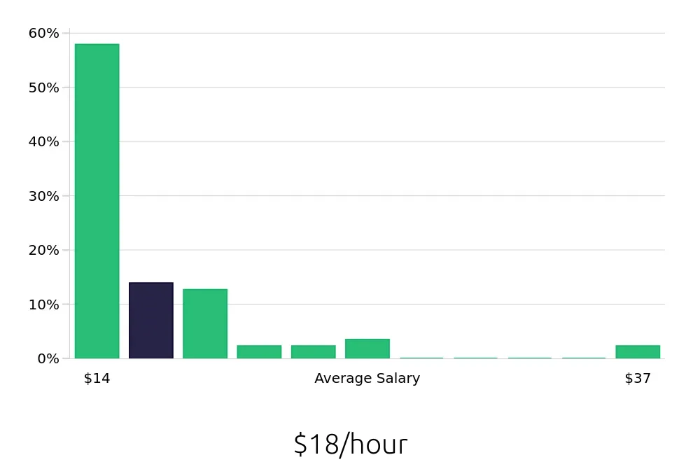 Graph depicting the hourly salary distribution for Team Member jobs in Somerville, MA, showing an average salary of $18 with varying distribution percentages across salary ranges.