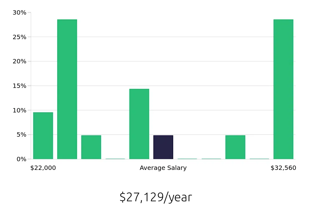 Graph depicting the yearly salary distribution for Barista jobs in Boerne, TX, showing an average salary of $27,129 with varying distribution percentages across salary ranges.
