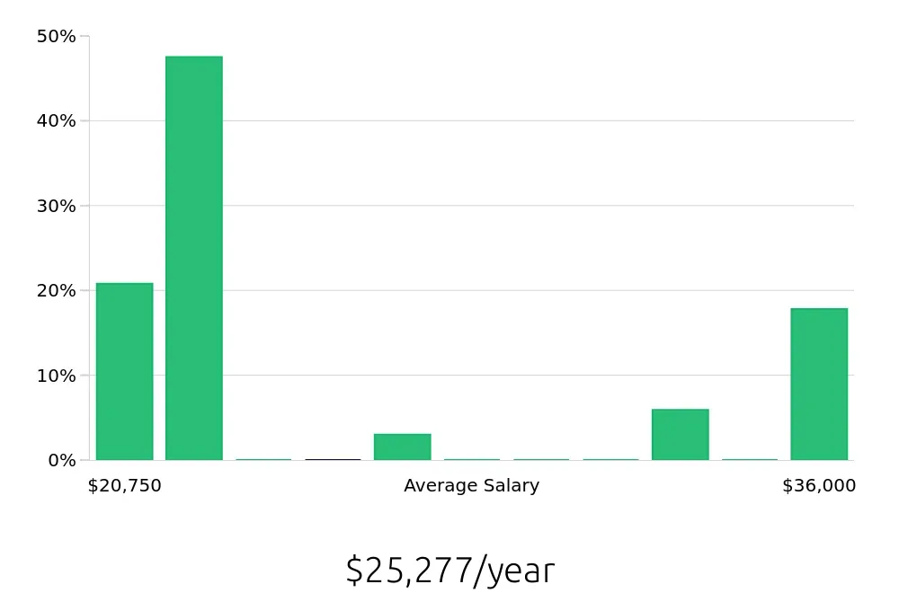 Graph depicting the yearly salary distribution for Busser jobs in Boone, NC, showing an average salary of $25,277 with varying distribution percentages across salary ranges.