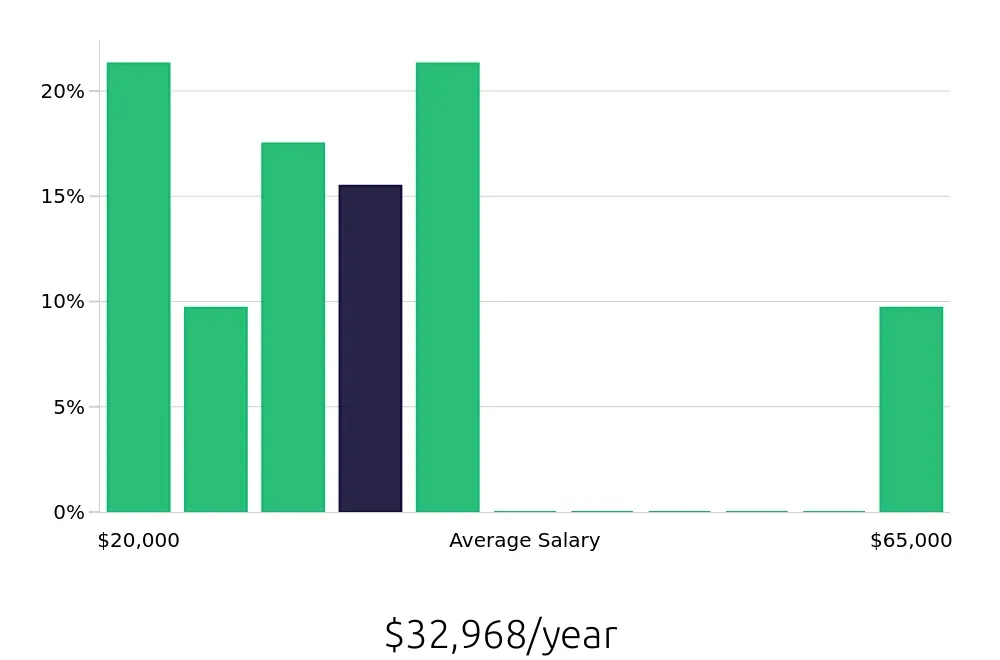 Graph depicting the yearly salary distribution for Busser jobs in Clifton Park, NY, showing an average salary of $32,968 with varying distribution percentages across salary ranges.