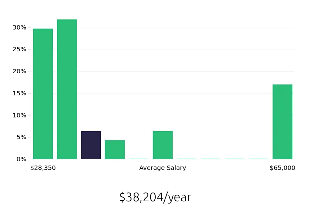 Graph depicting the yearly salary distribution for Busser jobs in Springfield, MA, showing an average salary of $38,204 with varying distribution percentages across salary ranges.