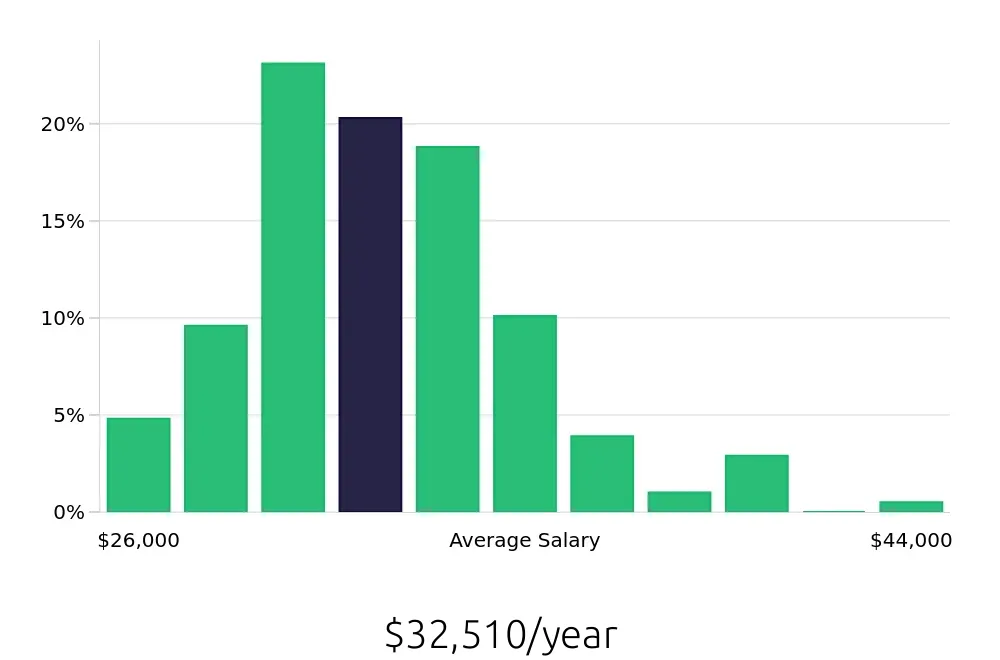 Graph depicting the yearly salary distribution for Cleaner jobs in Dublin, OH, showing an average salary of $32,510 with varying distribution percentages across salary ranges.