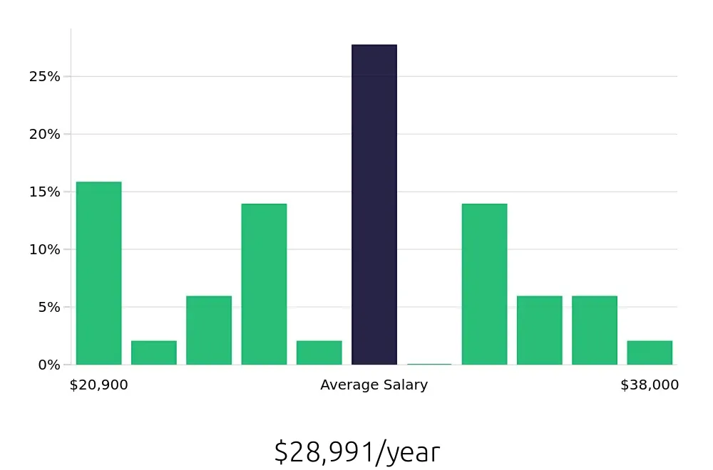 Graph depicting the yearly salary distribution for Cleaner jobs in Fremont, OH, showing an average salary of $28,991 with varying distribution percentages across salary ranges.