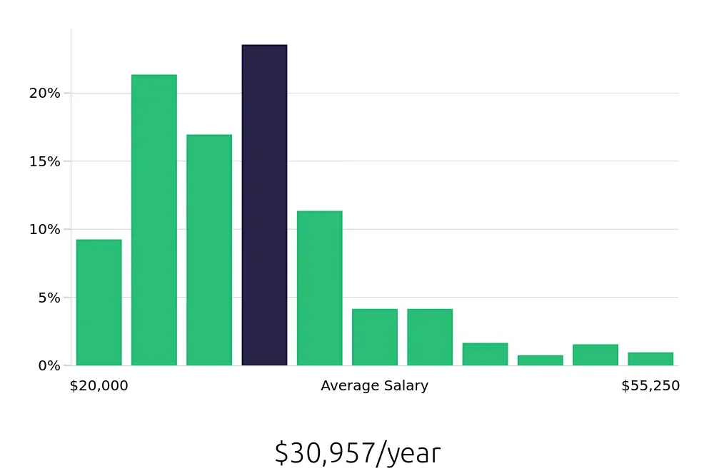 Graph depicting the yearly salary distribution for Cleaner jobs in Houston, TX, showing an average salary of $30,957 with varying distribution percentages across salary ranges.