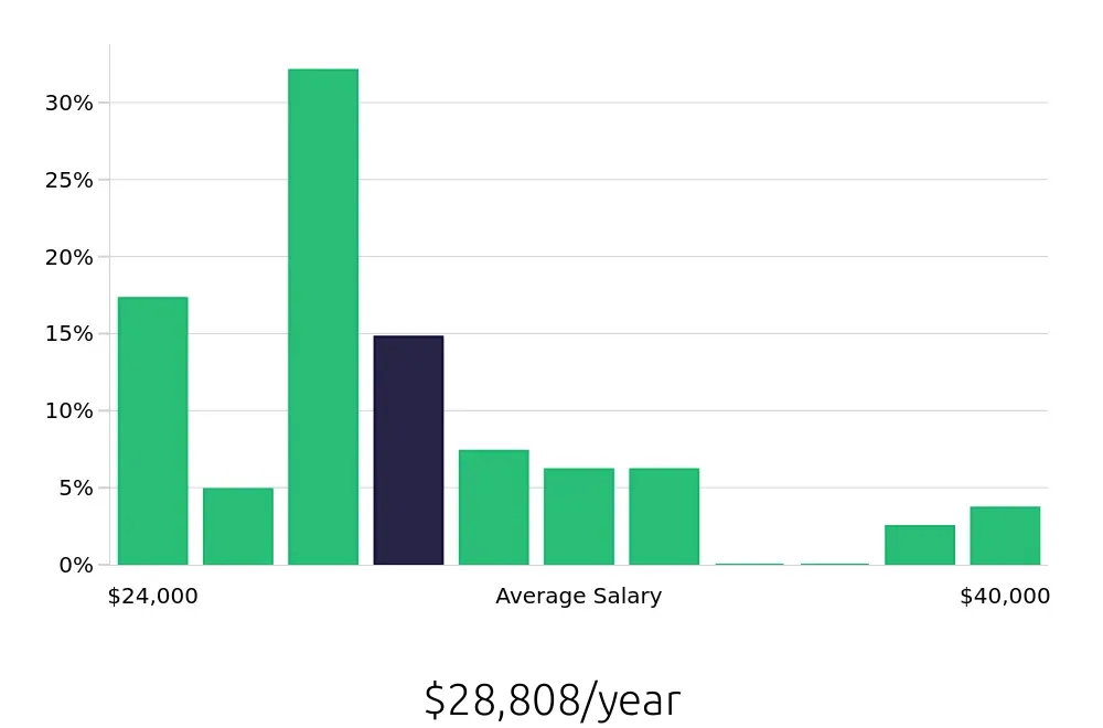 Graph depicting the yearly salary distribution for Cleaner jobs in Lawrenceville, GA, showing an average salary of $28,808 with varying distribution percentages across salary ranges.