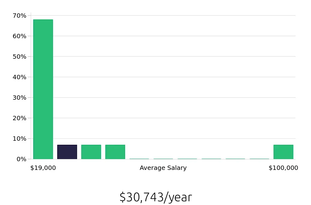 Graph depicting the yearly salary distribution for Cleaner jobs in Lenoir, NC, showing an average salary of $30,743 with varying distribution percentages across salary ranges.