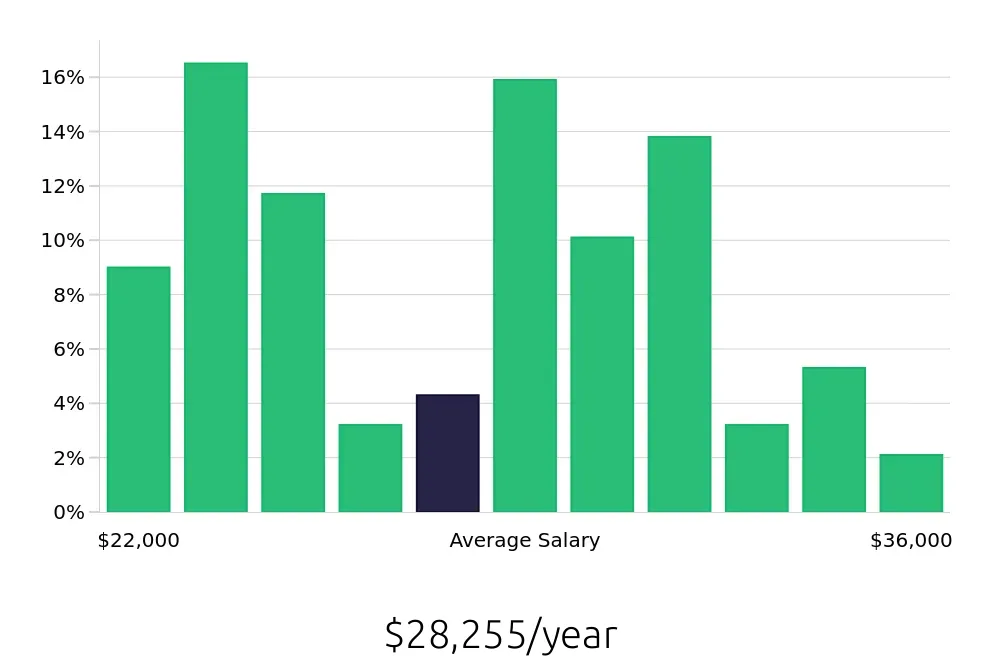 Graph depicting the yearly salary distribution for Cleaner jobs in McDonough, GA, showing an average salary of $28,255 with varying distribution percentages across salary ranges.