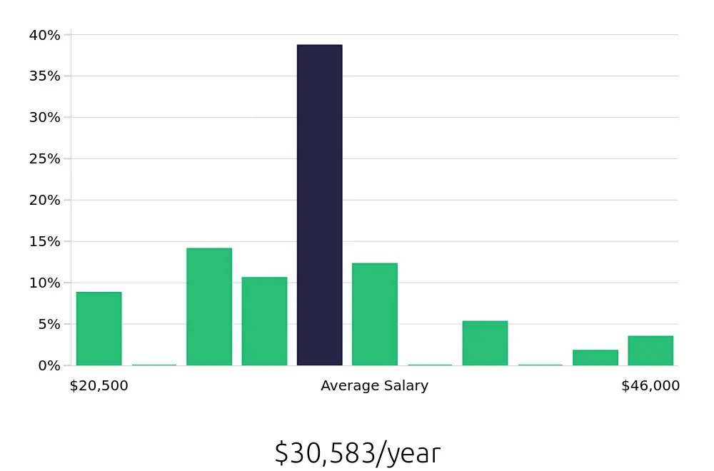 Graph depicting the yearly salary distribution for Cleaner jobs in Mount Dora, FL, showing an average salary of $30,583 with varying distribution percentages across salary ranges.