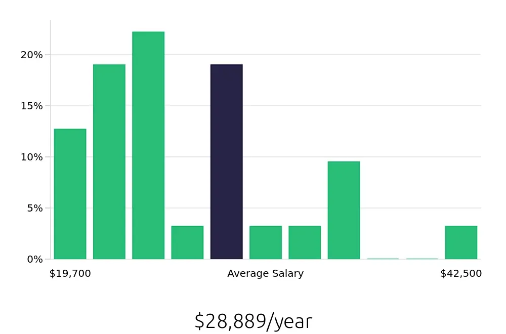 Graph depicting the yearly salary distribution for Cleaner jobs in Slidell, LA, showing an average salary of $28,889 with varying distribution percentages across salary ranges.
