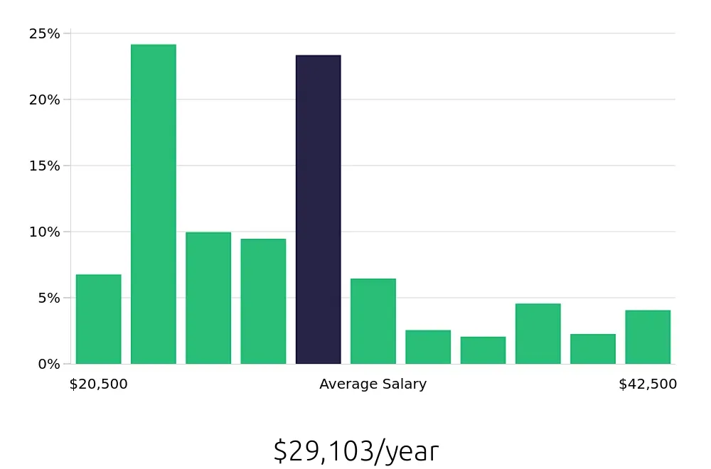 Graph depicting the yearly salary distribution for Cleaner jobs in Winston-Salem, NC, showing an average salary of $29,103 with varying distribution percentages across salary ranges.