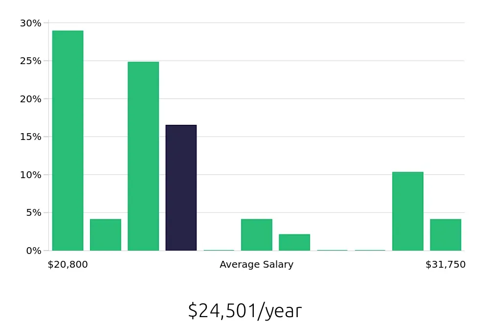Graph depicting the yearly salary distribution for Customer Service Representative jobs in Lithonia, GA, showing an average salary of $24,501 with varying distribution percentages across salary ranges.