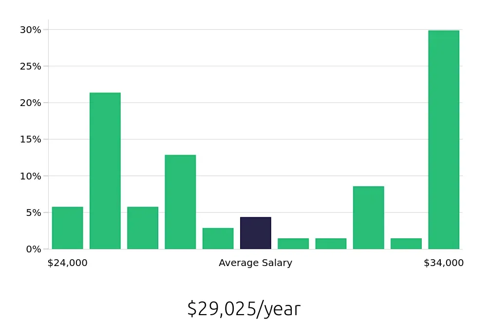 Graph depicting the yearly salary distribution for Dishwasher jobs in Hoover, AL, showing an average salary of $29,025 with varying distribution percentages across salary ranges.