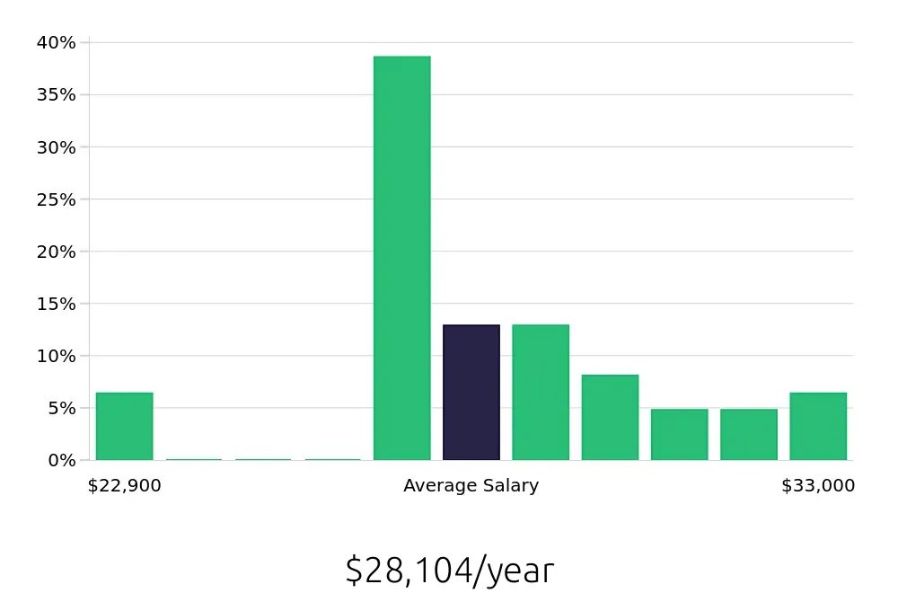 Graph depicting the yearly salary distribution for Dishwasher jobs in Morris, IL, showing an average salary of $28,104 with varying distribution percentages across salary ranges.