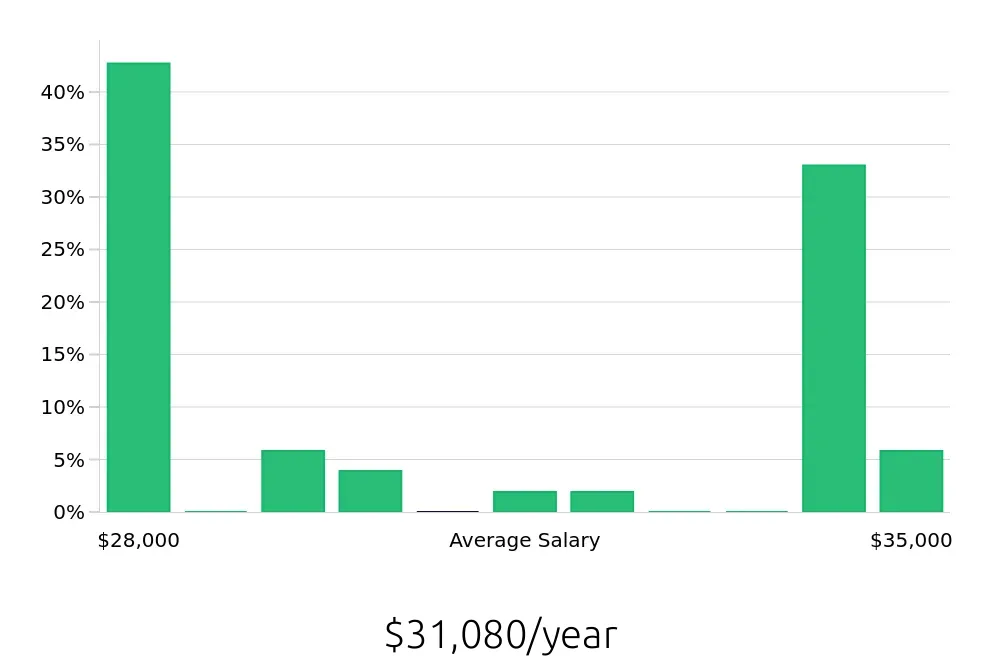 Graph depicting the yearly salary distribution for Dishwasher jobs in Salem, NH, showing an average salary of $31,080 with varying distribution percentages across salary ranges.