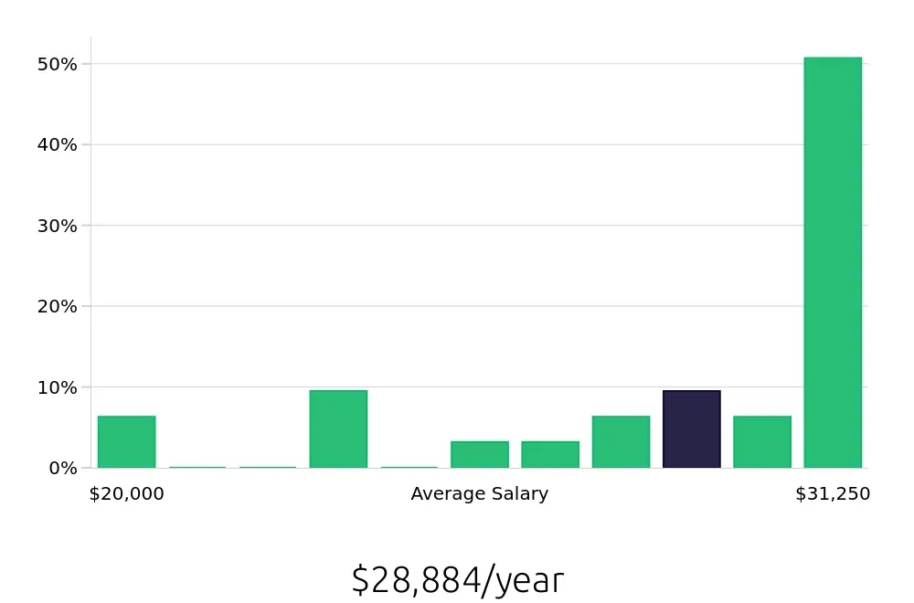 Graph depicting the yearly salary distribution for General Laborer jobs in Nacogdoches, TX, showing an average salary of $28,884 with varying distribution percentages across salary ranges.
