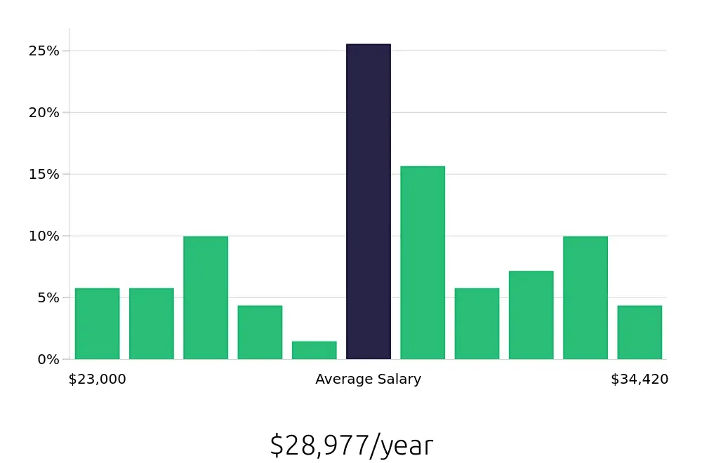Graph depicting the yearly salary distribution for Housekeeper jobs in Riverview, FL, showing an average salary of $28,977 with varying distribution percentages across salary ranges.
