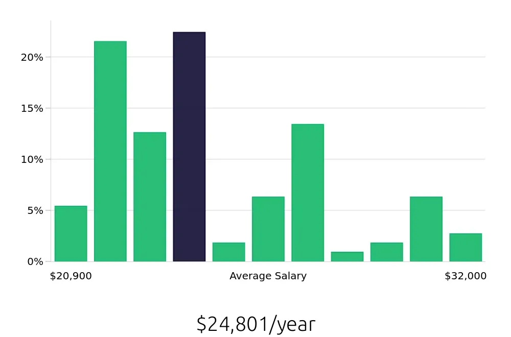 Graph depicting the yearly salary distribution for Housekeeper jobs in Youngstown, OH, showing an average salary of $24,801 with varying distribution percentages across salary ranges.