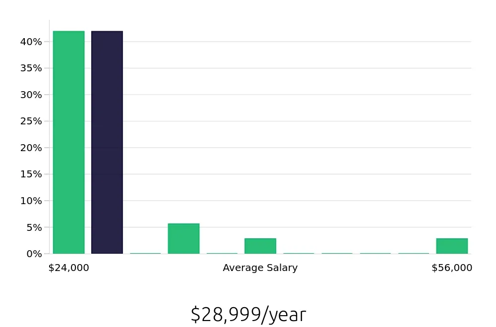 Graph depicting the yearly salary distribution for Housekeeping jobs in Gastonia, NC, showing an average salary of $28,999 with varying distribution percentages across salary ranges.