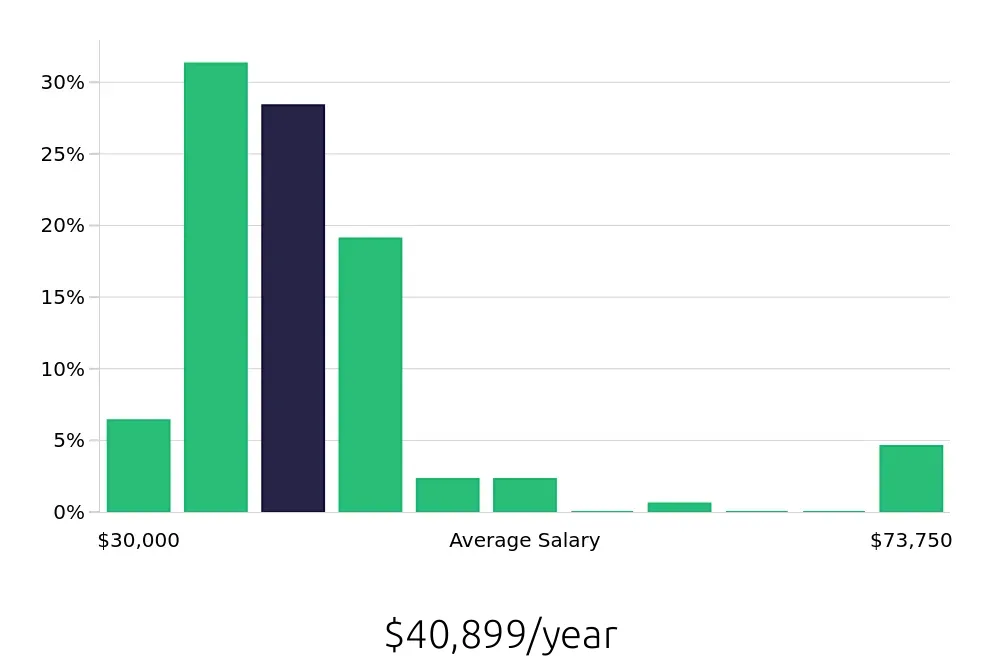 Graph depicting the yearly salary distribution for Laborer jobs in Austin, TX, showing an average salary of $40,899 with varying distribution percentages across salary ranges.