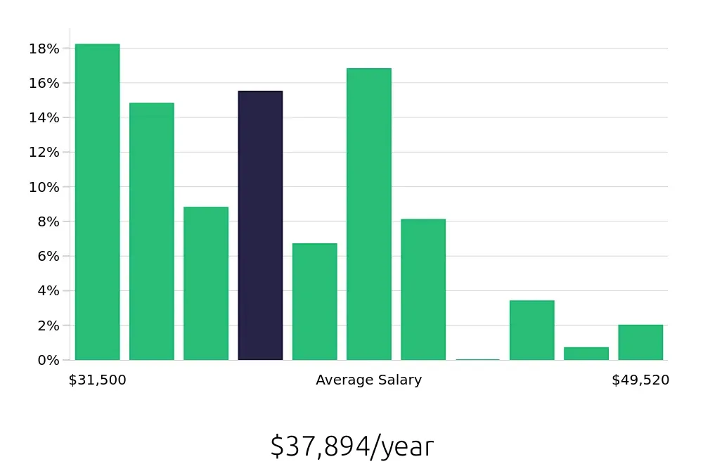 Graph depicting the yearly salary distribution for Merchandiser jobs in Brooklyn, NY, showing an average salary of $37,894 with varying distribution percentages across salary ranges.