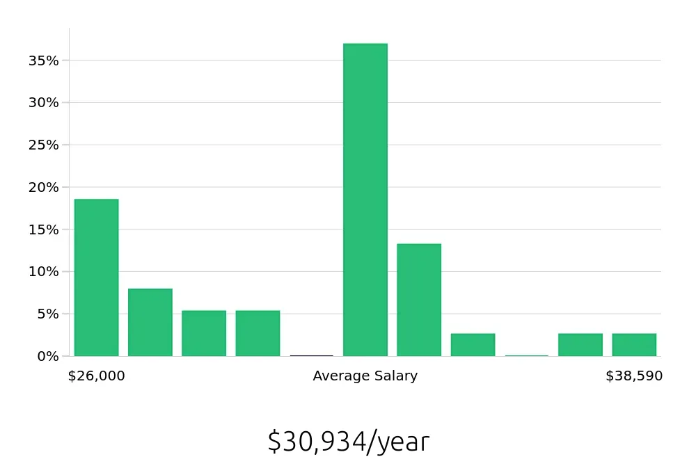 Graph depicting the yearly salary distribution for Merchandiser jobs in Dublin, OH, showing an average salary of $30,934 with varying distribution percentages across salary ranges.