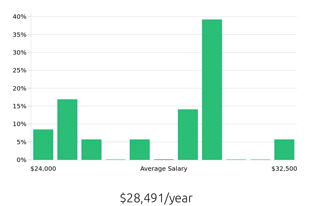 Graph depicting the yearly salary distribution for Packer jobs in Joplin, MO, showing an average salary of $28,491 with varying distribution percentages across salary ranges.