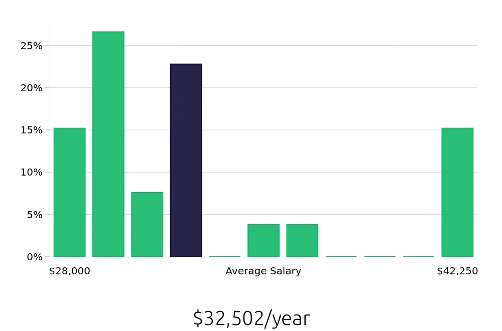 Graph depicting the yearly salary distribution for Retail Merchandiser jobs in Hampton, VA, showing an average salary of $32,502 with varying distribution percentages across salary ranges.