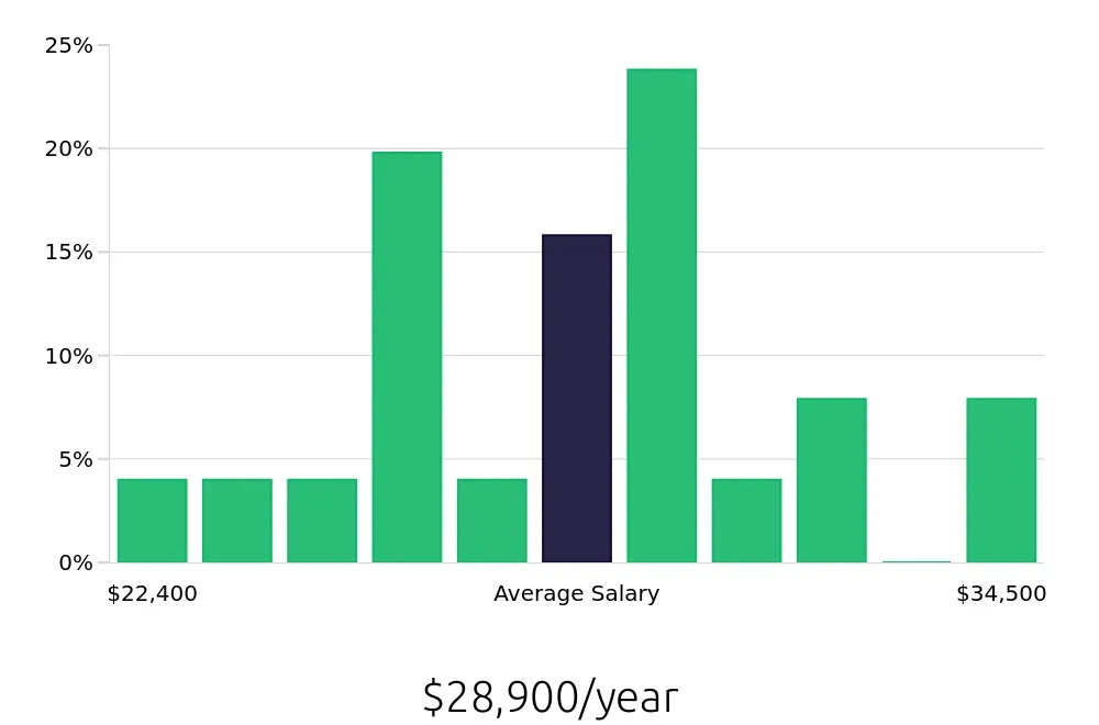 Graph depicting the yearly salary distribution for Retail Merchandiser jobs in McDonough, GA, showing an average salary of $28,900 with varying distribution percentages across salary ranges.