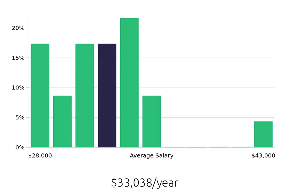 Graph depicting the yearly salary distribution for Retail Merchandiser jobs in Snellville, GA, showing an average salary of $33,038 with varying distribution percentages across salary ranges.