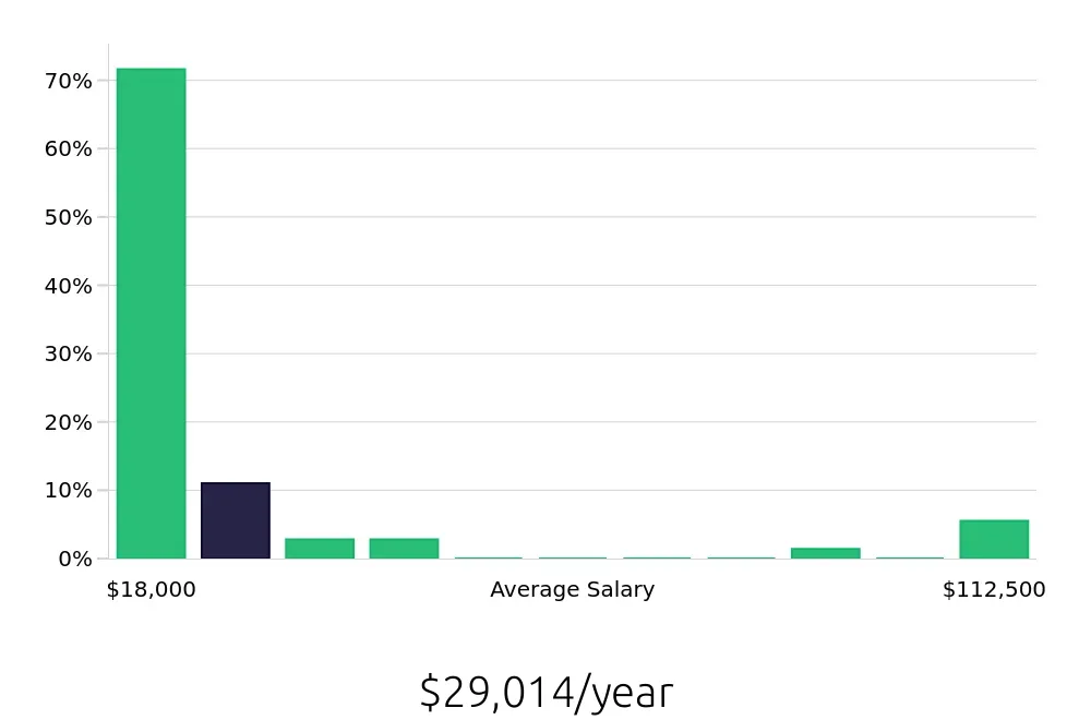 Graph depicting the yearly salary distribution for Sales Associate jobs in Salisbury, NC, showing an average salary of $29,014 with varying distribution percentages across salary ranges.