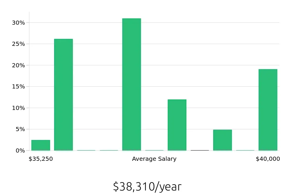 Graph depicting the yearly salary distribution for Security Guard jobs in Braintree, MA, showing an average salary of $38,310 with varying distribution percentages across salary ranges.