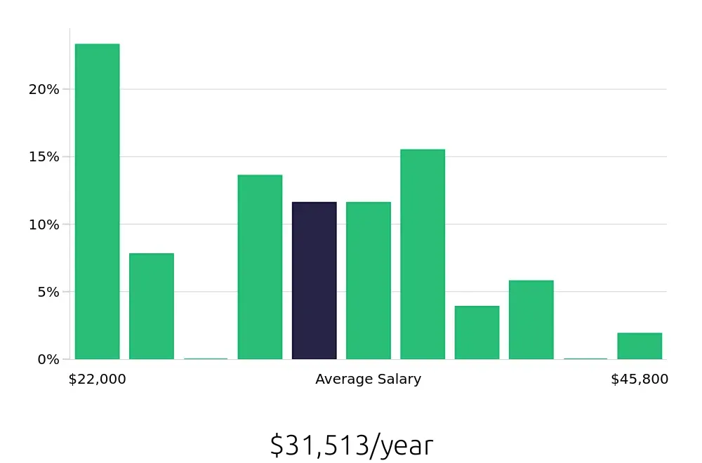 Graph depicting the yearly salary distribution for Security Guard jobs in Bryan, TX, showing an average salary of $31,513 with varying distribution percentages across salary ranges.