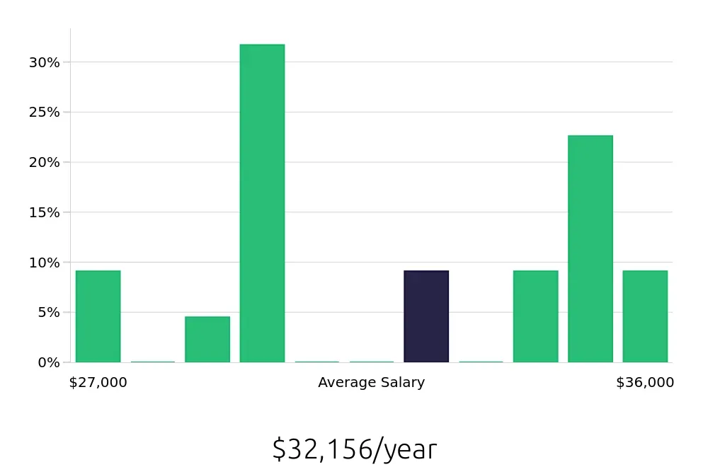 Graph depicting the yearly salary distribution for Security Guard jobs in Christiansburg, VA, showing an average salary of $32,156 with varying distribution percentages across salary ranges.