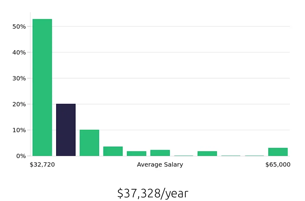 Graph depicting the yearly salary distribution for Security Guard jobs in Jamaica, NY, showing an average salary of $37,328 with varying distribution percentages across salary ranges.