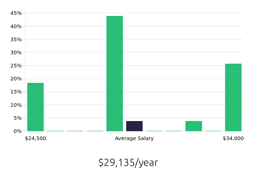 Graph depicting the yearly salary distribution for Security Guard jobs in Lithia Springs, GA, showing an average salary of $29,135 with varying distribution percentages across salary ranges.