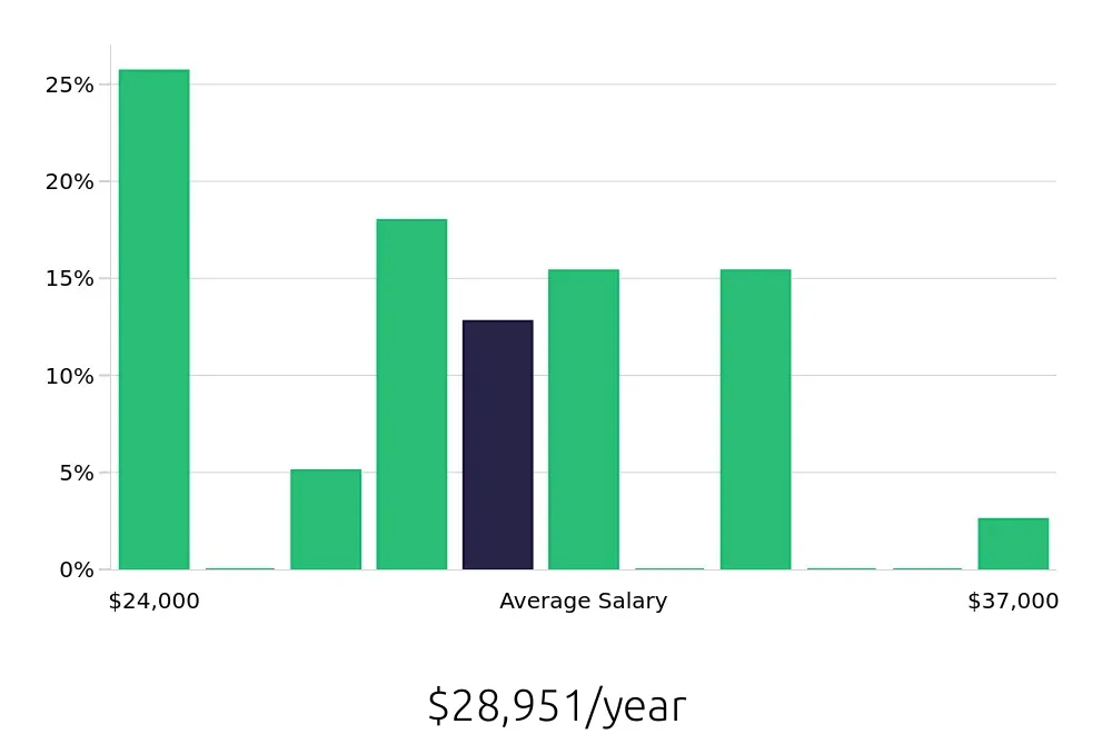 Graph depicting the yearly salary distribution for Security Guard jobs in North Little Rock, AR, showing an average salary of $28,951 with varying distribution percentages across salary ranges.
