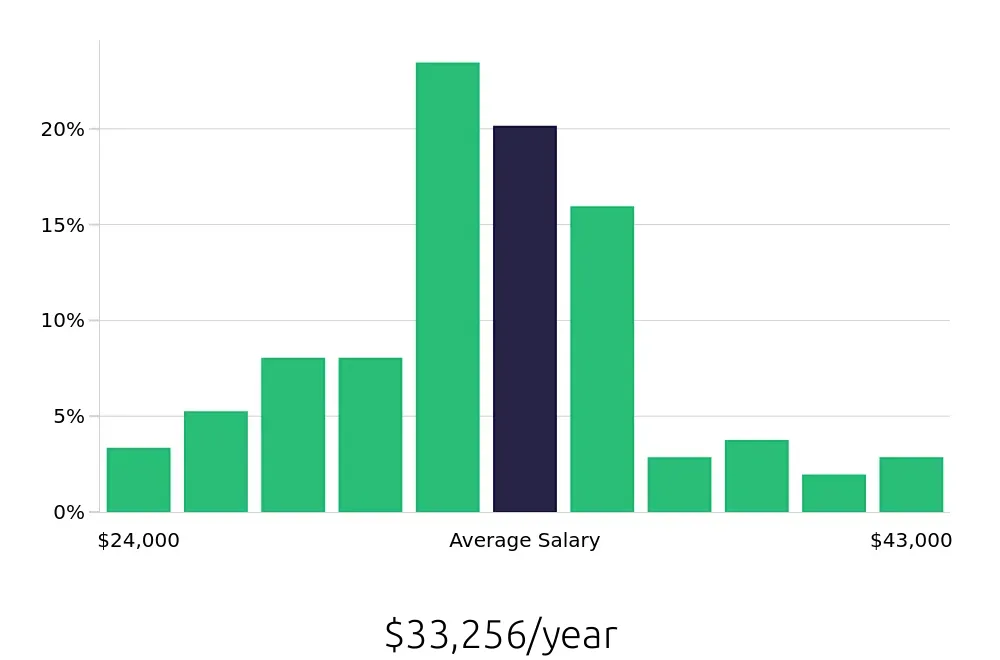 Graph depicting the yearly salary distribution for Security Guard jobs in Raleigh, NC, showing an average salary of $33,256 with varying distribution percentages across salary ranges.
